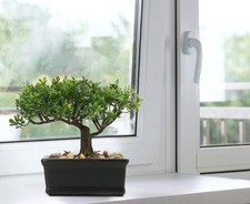 Hollyone 6.5 artificial for sale  ARUNDEL