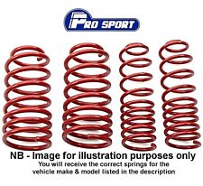Pro sport lowering for sale  SALISBURY
