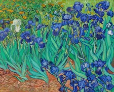 Print canvas irises for sale  Topsham
