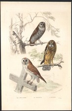 1853 gravure aquarellée d'occasion  Besançon