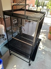 Large standing parrot for sale  Miami
