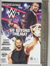 Wwe beyond mat for sale  Munster
