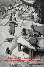 Usado, Pombos-pássaro jovem mulher alimentando pássaros no parque inverno, grande impressão antiga da década de 1890 comprar usado  Enviando para Brazil