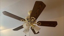 Vtg raleigh ceiling for sale  Pagosa Springs