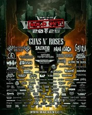 Ticket wacken pen gebraucht kaufen  Schlierbach