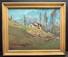 Mario albano pittore usato  Castelnuovo Don Bosco
