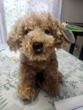 Bearington doodles labradoodle for sale  Philipsburg