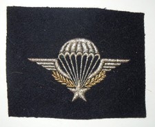 Insigne brevet militaire d'occasion  Senozan