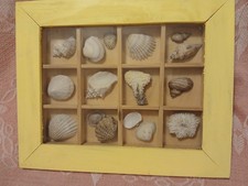 Vtg. framed shadowbox for sale  Cornwallville