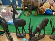 African deer kudu for sale  DEESIDE
