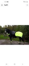 Hiviz quarter sheet for sale  FALKIRK