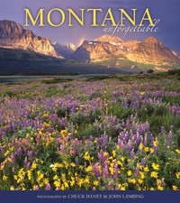 Montana unforgettable for sale  Tallahassee