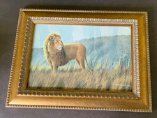 Stephen gayford born for sale  CHICHESTER