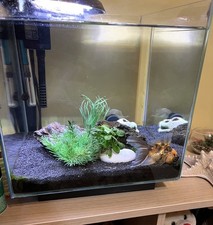 Newamore nmo 50r usato  Corato