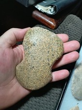Authentic arizona prehistoric for sale  Bartlesville