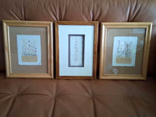 Lot real pressed for sale  Peoria