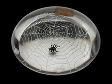 Spider glass paper for sale  Orlando