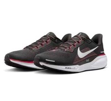 Nike Zoom Pegasus 41 Tampa Bay Buccaneers Deep Pewter Gym Red FZ5076-200 Size 13 na sprzedaż  Wysyłka do Poland
