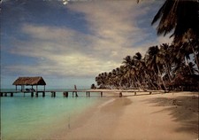 Palm trees beach for sale  Sandusky