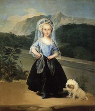 Stampa tela goya usato  Napoli