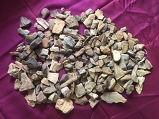 Pounds petrified wood for sale  Lufkin