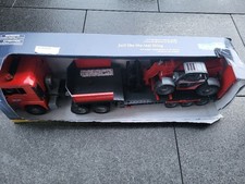 Bruder 02774 man gebraucht kaufen Bruder 02774 man gebraucht kaufen  Calw