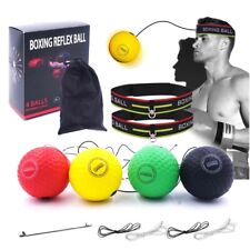 Boxen training ball gebraucht kaufen  Aspisheim, Grolsheim