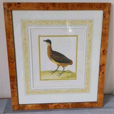 Britsh library ltd for sale  UK