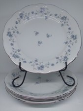 Johann haviland china for sale  Arlington