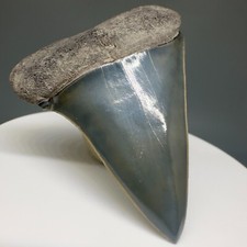 Killer razor sharp for sale  Fernandina Beach