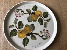 Vintage portmeirion botanic for sale  SOUTHEND-ON-SEA