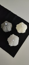 Hse flambiance led gebraucht kaufen  Rheine