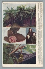 1907 real estate for sale  Storrs Mansfield