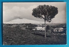 Sicilia nicolosi vigneto usato  Ragalna
