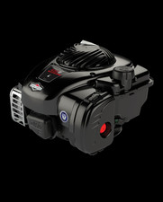 Briggs stratton serie usato  Italia