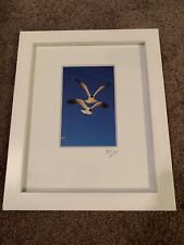 Framed photography for sale  Mooresville