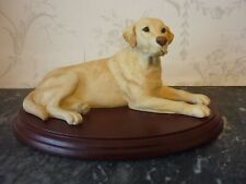 Labrador lying yellow for sale  WIGTON