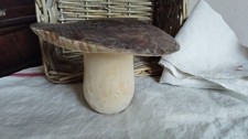 Tre funghi porcini usato  Vobbia