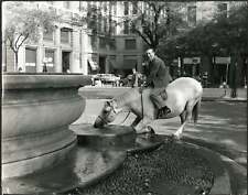 Vintage milano passeggiata usato  Roma