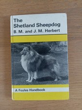 Shetland sheepdog foyles for sale  DERBY