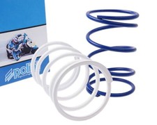 Gegendruckfeder polini 15 gebraucht kaufen  Moers