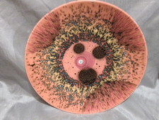 Poole pottery limited for sale  MALVERN