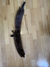 Authentic mink for sale  Columbus