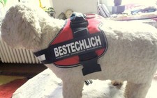 Julius hundegeschirr idc gebraucht kaufen  Albersdorf