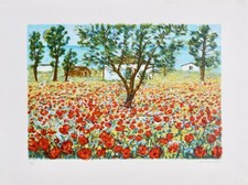 Campo papaveri litografia usato  Grosseto