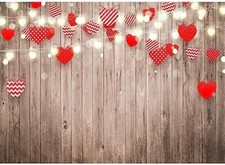 Valentine day backdrop for sale  Jonesville