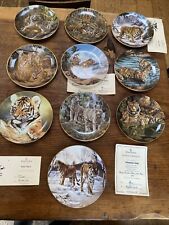 tiger for sale  NEWTON ABBOT