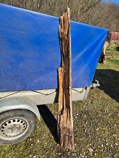 Eichenstamm holz stele gebraucht kaufen  Kempen