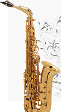 Selmer super action d'occasion  Expédié en Belgium