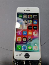 Lx125 apple display usato  Villalfonsina